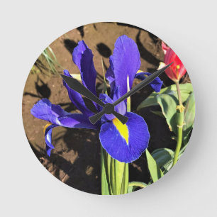 Horloge Ronde Iris à Tulip Field, Woodburn, Oregon