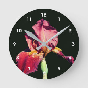 Horloge Ronde Iris barbu à la bière de racine