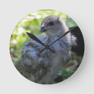 Horloge Ronde Jacinthe des bois