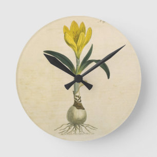 Horloge Ronde Jardin botanique de tulipe Amaryllis Fleur