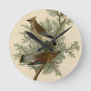 Horloge Ronde Jaseur cèdre d'Audubon