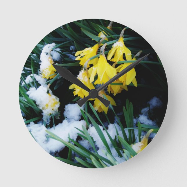 Horloge Ronde Jaune Daffodils fleurs dans la neige (Recto)