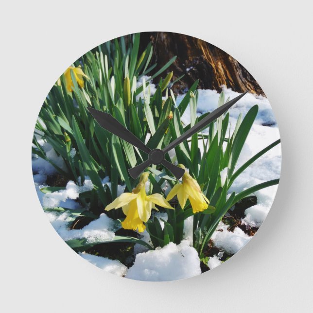 Horloge Ronde Jaune Daffodils fleurs dans la neige (Recto)