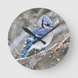 Horloge Ronde Jay bleu dans une tempête de neige