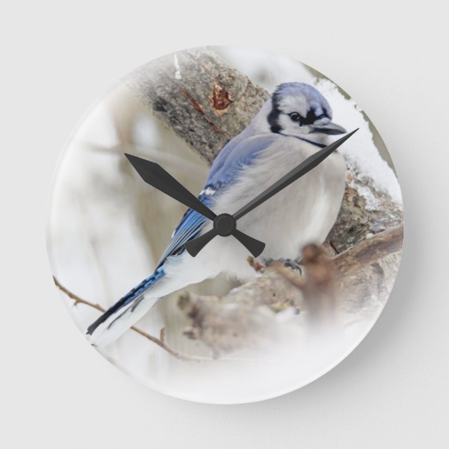 Horloge Ronde Jay bleu en hiver (Recto)