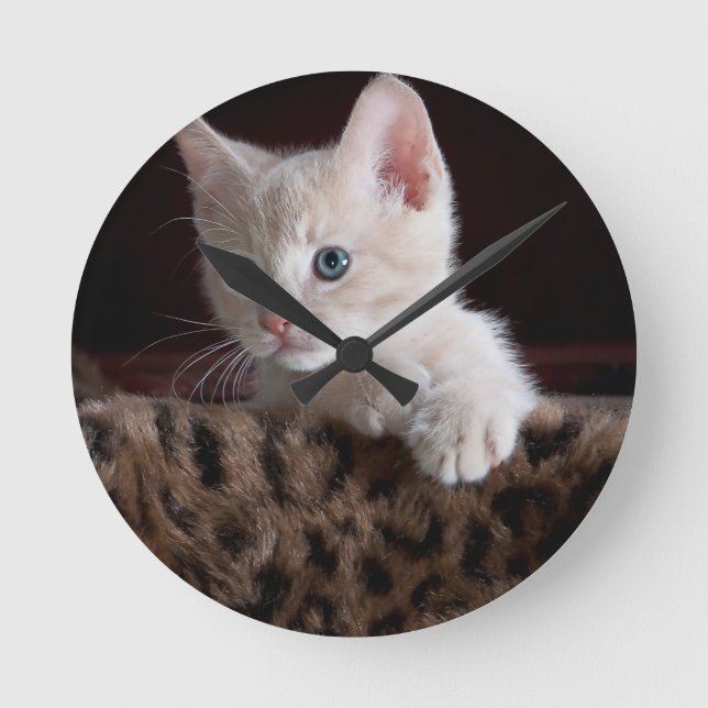 Horloge Ronde Joli Chat Qui Regarde (Recto)