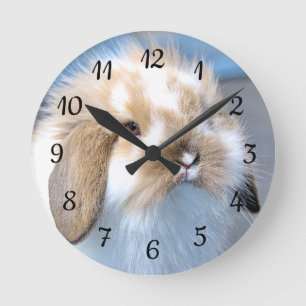 Horloge Ronde Joli lapin blanc et brun flamand