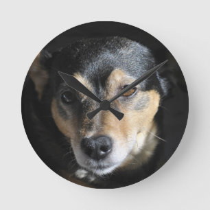 Horloge Ronde Joli Petit Chien Posant pour l'Appareil Photo