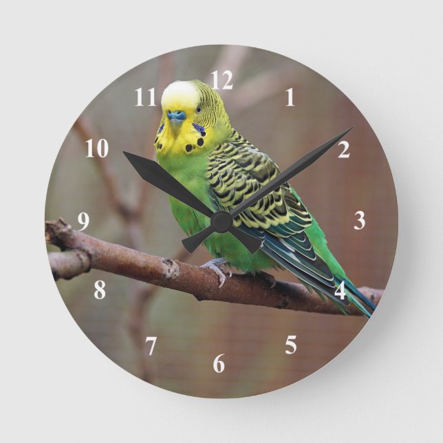 Horloge Ronde Jolie Perruque verte (Recto)