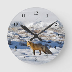 Horloge Ronde Jolie photo de neige Fox