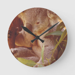 Horloge Ronde Koala Bear Love