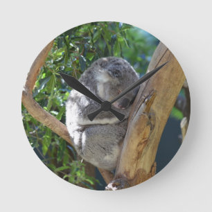 Horloge Ronde Koala dormant dans l'arbre