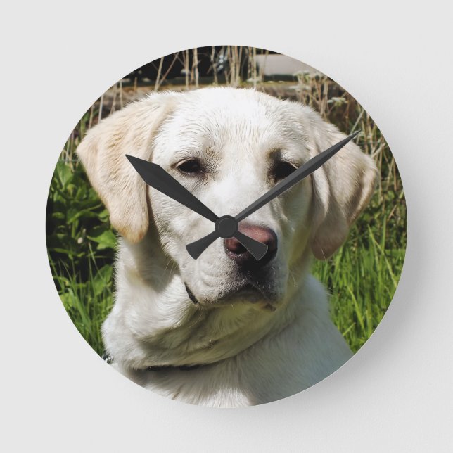 HORLOGE RONDE LABRADOR DOG (Recto)