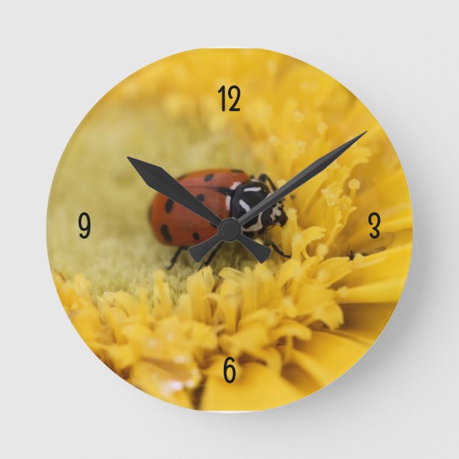 Horloge Ronde Ladybug (Recto)
