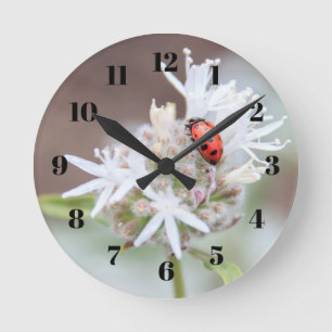 Horloge Ronde Ladybug on Silverleaf Phacelia Flowers Wall Clock