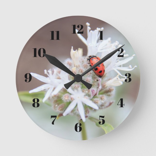 Horloge Ronde Ladybug on Silverleaf Phacelia Flowers Wall Clock (Recto)