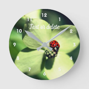 Horloge Ronde Ladybug Sur Fleur De Dogwood Blanc Personnalisé