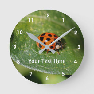 Horloge Ronde Ladybug Sur La Nature De La Feuille
