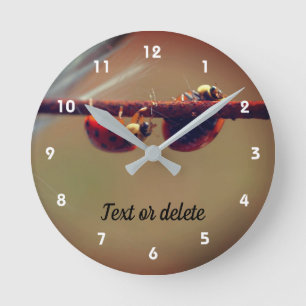 Horloge Ronde Ladybugs Équilibrer gros plan Personnalisé