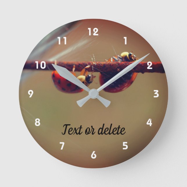 Horloge Ronde Ladybugs Équilibrer gros plan Personnalisé (Recto)