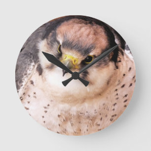 HORLOGE RONDE LANNER FALCON