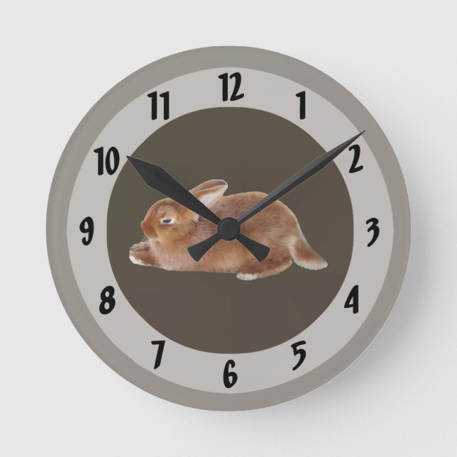Horloge Ronde Lapin Brown (Recto)