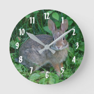 Horloge Ronde Lapin Brown sauvage
