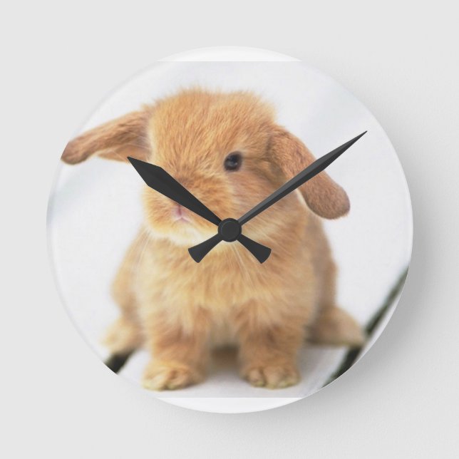 Horloge Ronde Lapin Lapin (Recto)