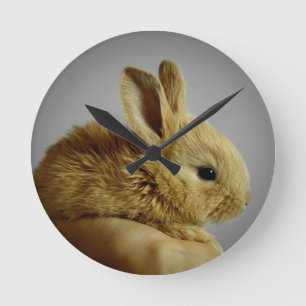 Horloge Ronde Lapin lapin mignon bébé à la main