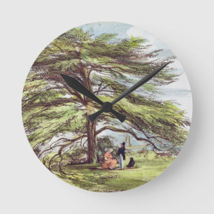 Horloge Ronde L'arbre de cèdre du Liban dans l'arborétum, Kew