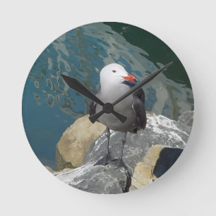 Horloge Ronde Larry Day de la Mouette Ken Gage Photographie d'oi
