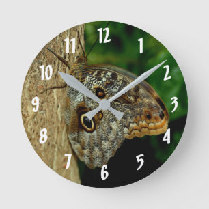 Horloge Ronde L'art animal du papillon de la Chouette Brown