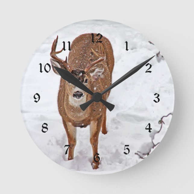 Horloge Ronde Le Buck d'hiver (Recto)