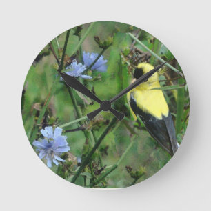 Horloge Ronde Le chardonneret sauvage de pinson fleurit l'oiseau