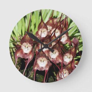 Horloge Ronde LE SINGE A FAIT FACE À DES FLEURS. - Miracles de