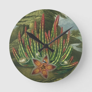 Horloge Ronde Le Stapelia de Larve-Incidence, gravé par Stadler