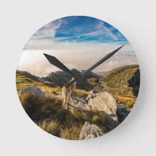 Horloge Ronde Le voyage