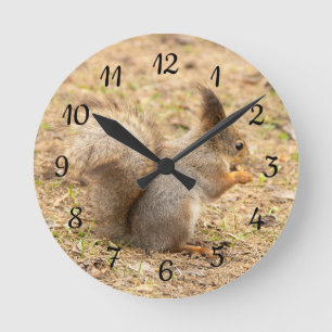 Horloge Ronde L'écureuil mignon mange une photo de noix