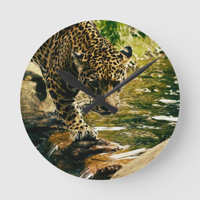 Horloge Ronde Leopard Crossing a Stream Photographie (Recto)