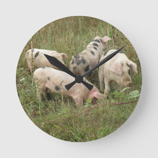 Horloge Ronde Les Pigs (Recto)