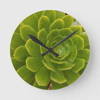 Horloge Ronde L'étreinte verte de Madère