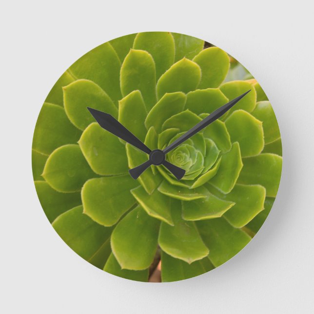 Horloge Ronde L'étreinte verte de Madère (Recto)