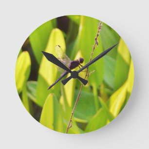 Horloge Ronde Libellule bleue et noire sur l'herbe
