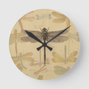 Horloge Ronde Libellule Vintage Antique Classique Nature