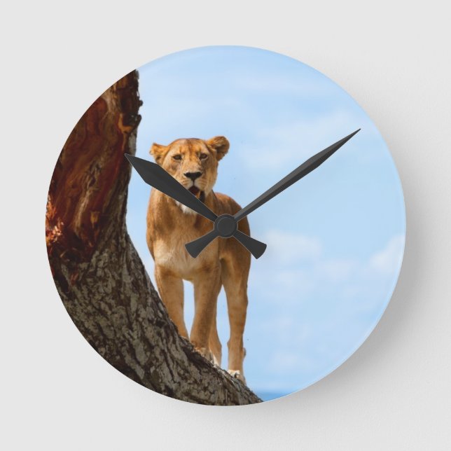 Horloge Ronde Lioness (Recto)