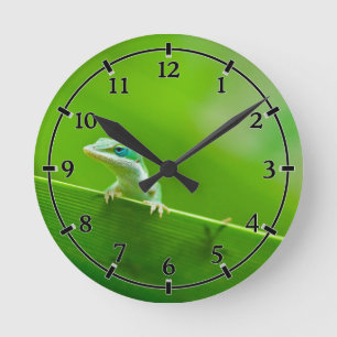 Horloge Ronde Lizard d'Anole verte Rencontre Petite chose mignon
