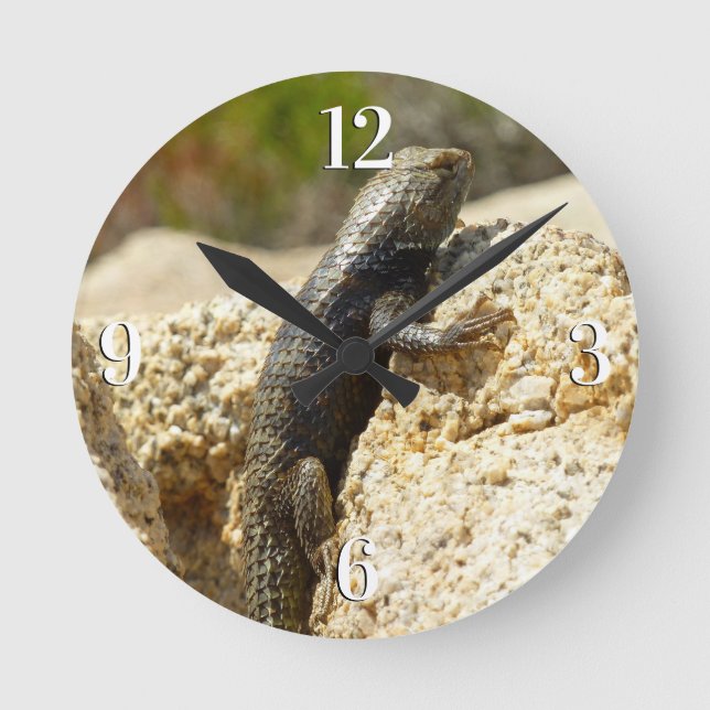 Horloge Ronde Lizard d'épinette à dos jaune à Joshua Tree (Recto)