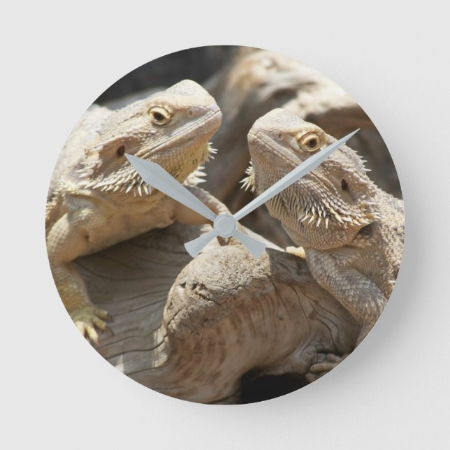 Horloge Ronde Lizard Time Bearded (Recto)
