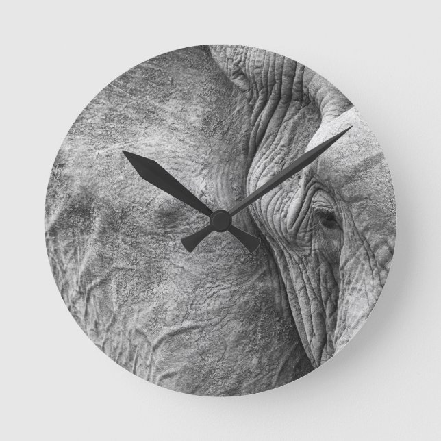 Horloge Ronde L'oeil d'un éléphant (Recto)