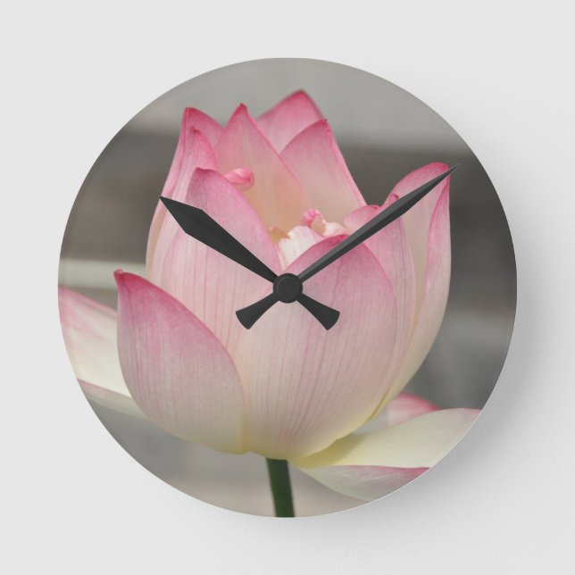 Horloge Ronde Lotus rose (Recto)